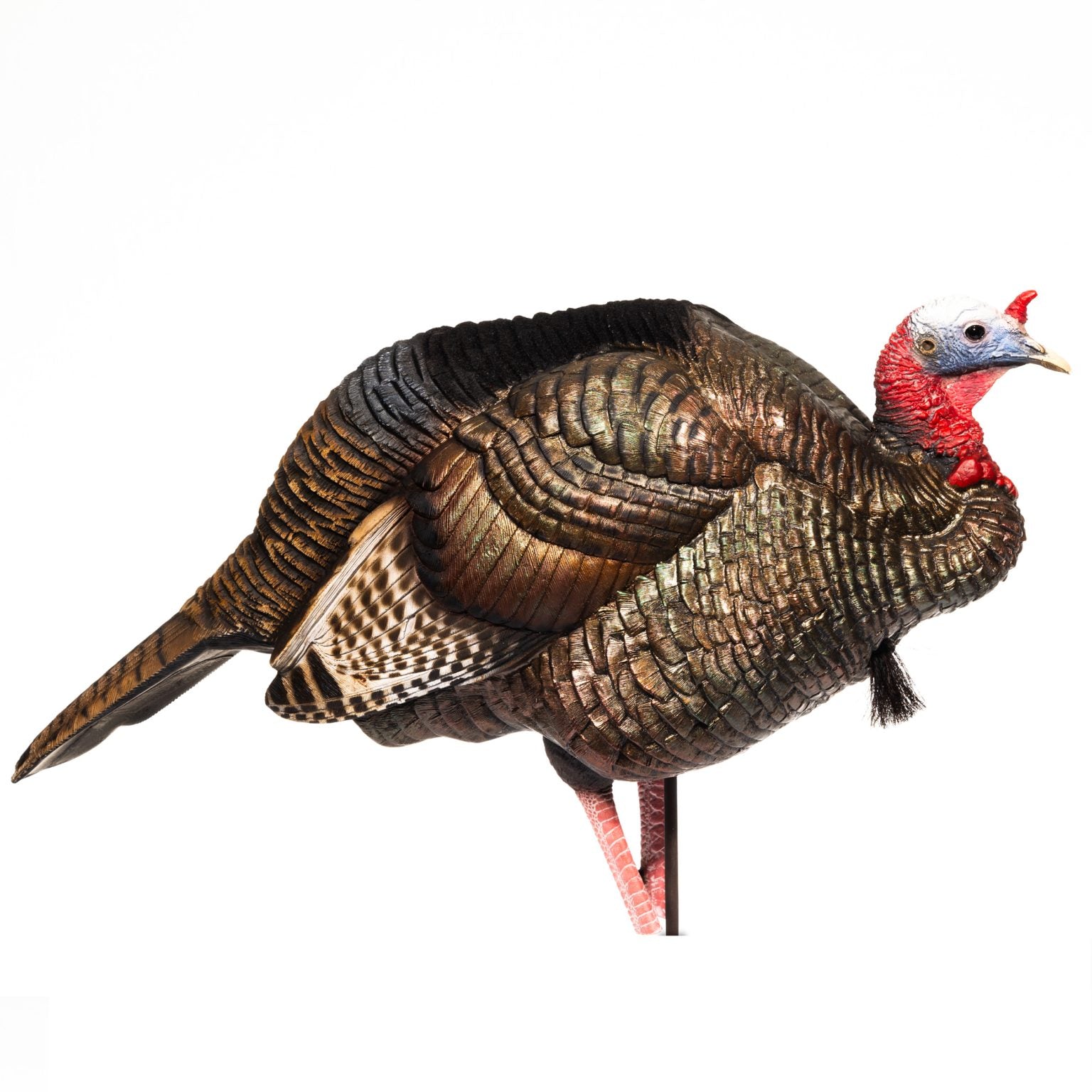 3/4 Strut Jake Decoy