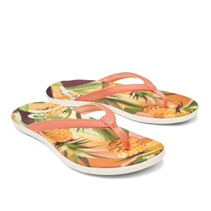 Ho'Opio Hau - Shell Coral/Pineapple