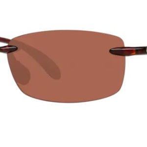 Ballast Tortoise Copper 580P