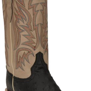 DOC Bar Black Full Quill Ostrich