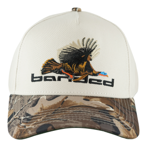 Banded - Flying Tom