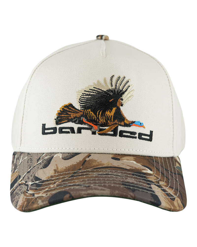 Banded - Flying Tom