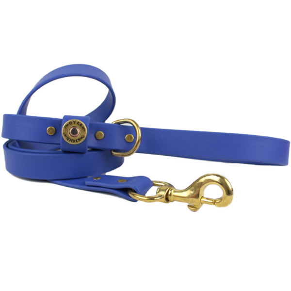 Water Dog Leash Cobalt Blue