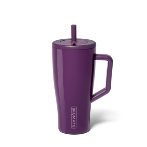 Era 30oz - Plum