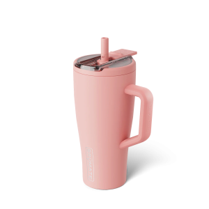 Era Flip 30oz - Guava