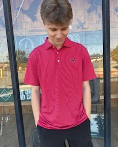 Striped Standing Dog logo Performance Polo- Red/White