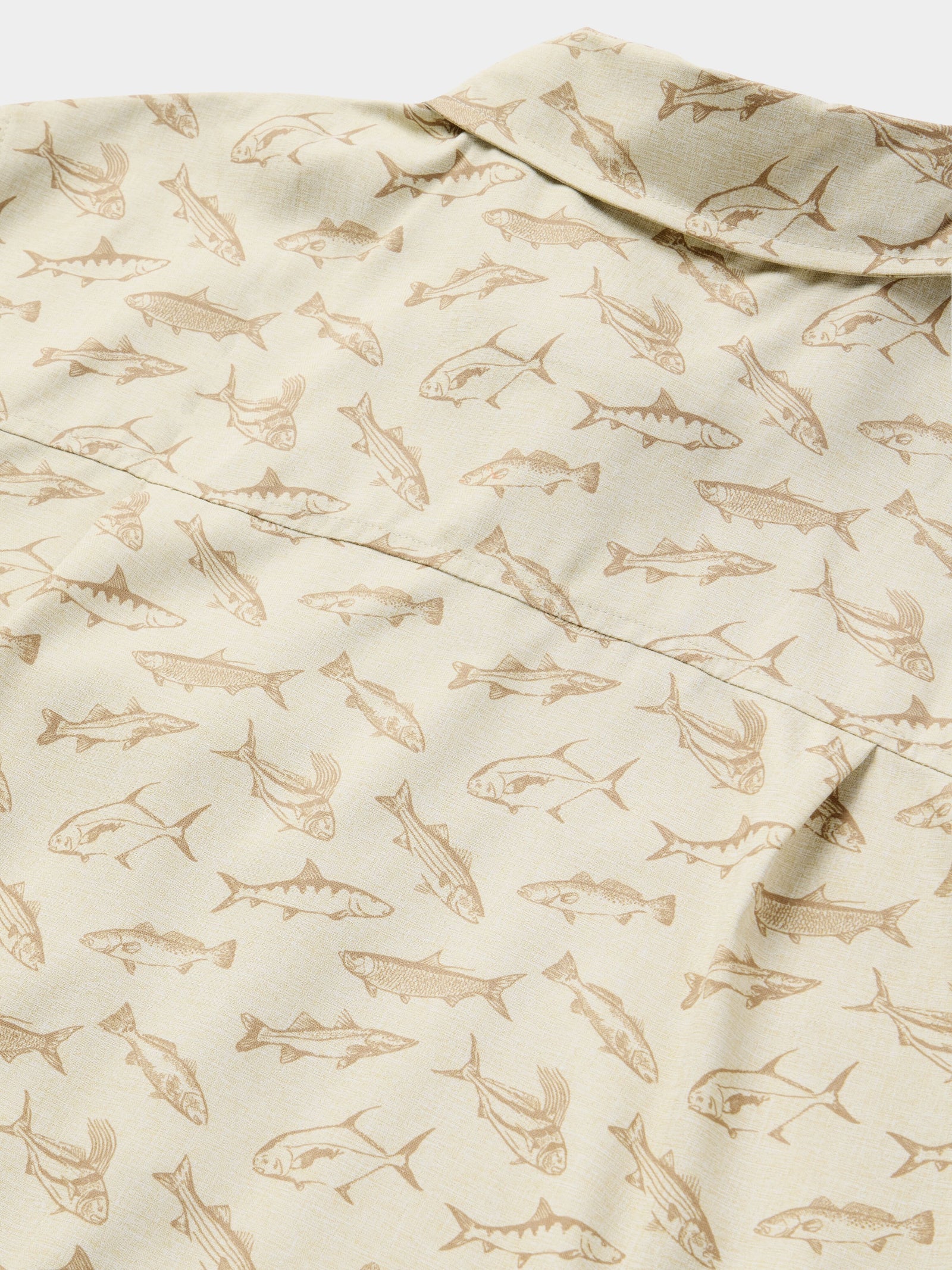 M's Brrr® Performance Shirt Short Sleeve - Sand Dollar Coastal Frenzy - Image 7