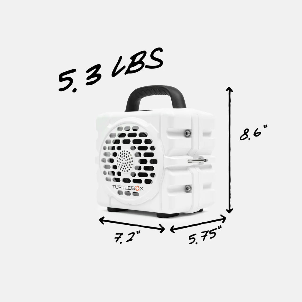 Cub - White