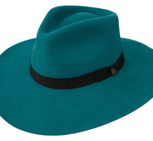 Charlie 1 Horse Highway - Teal