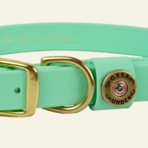 Waterproof Dog Collar - Mint