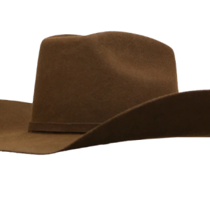 Ariat Mens 2X Wool Two Cord Hatband Pin Felt Hat - Brown