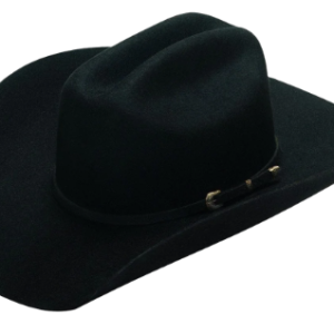Twister Dallas Black Wool Felt Western Hat