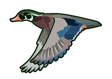 Wood Duck - Winter Ice Scent