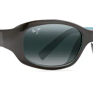 Punchbowl Polarized - Gloss Black with Blue w/ Neutral Grey