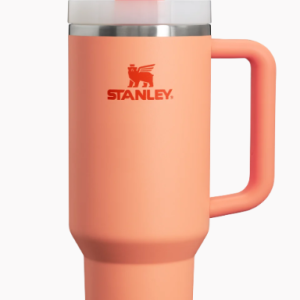 The Quencher H2.0 FlowState™ Tumbler 40 oz. - Nectarine