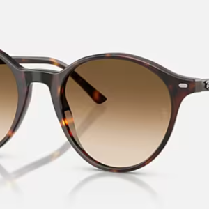 Bernard Polished Havana Clear Gradient Brown