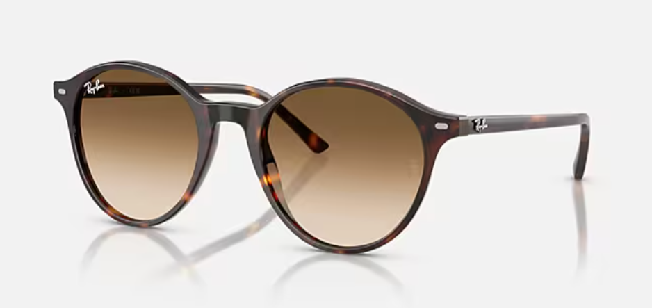 Bernard Polished Havana Clear Gradient Brown