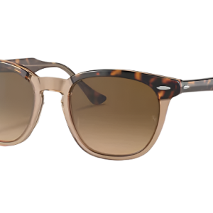 Hawkeye Polished Havana On Transparent Brown Brown Gradient Lenses