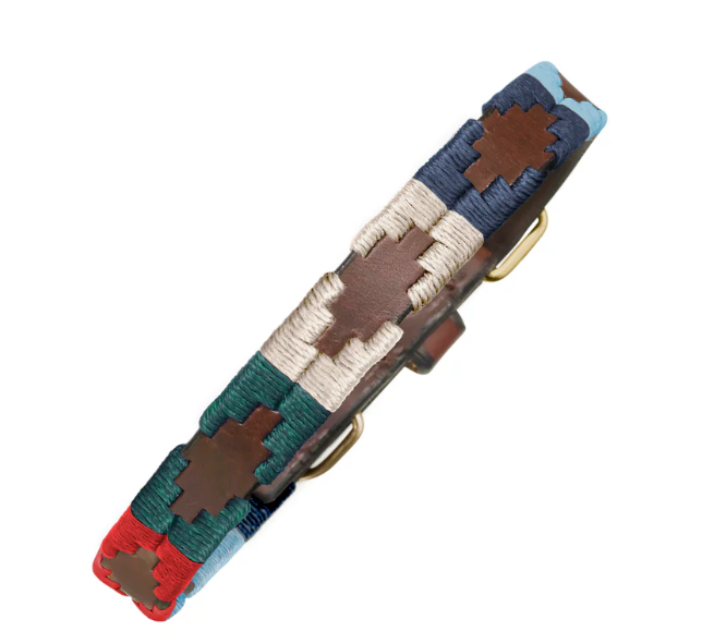 Dog Collar - Multi