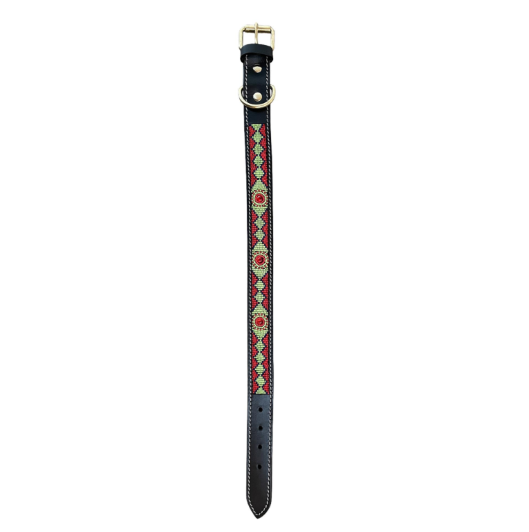 Buena Onda Dog Collar - Red & Green