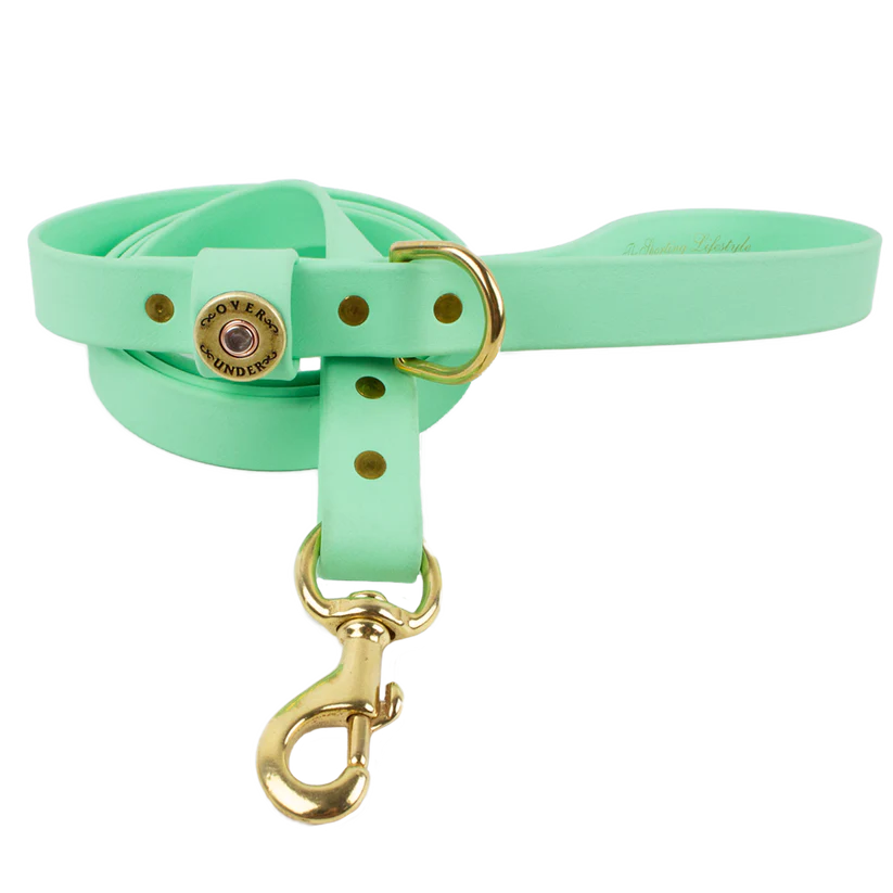 Water Dog Leash Mint