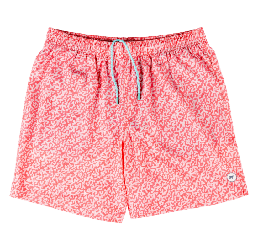 Patterned Trunk - Weathered Coral Reef