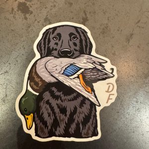 Black Lab & Mallard Sticker