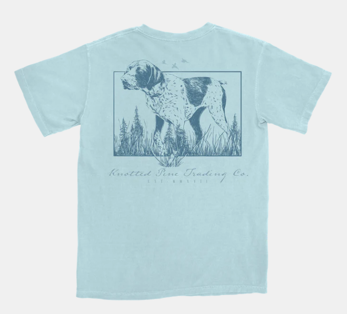 Pointer Chambray