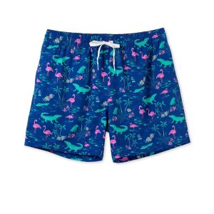 The Swamp & Circumstances Lined Swim Trunks