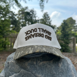 Small Ducks Big Dreams - Original Bottomland