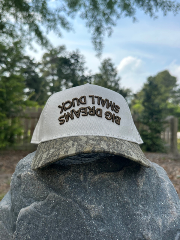 Small Ducks Big Dreams - Original Bottomland